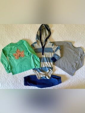Baby Boy 18M 4 Piece Set Properly Tied Fall Tshirt
Carter's Hoodied Long Sleeve
